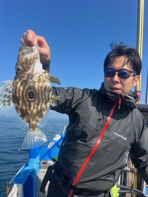 マトウダイ