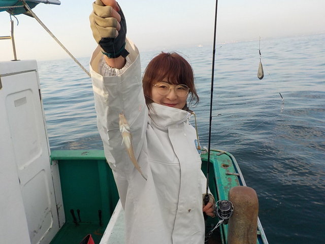 シロギス