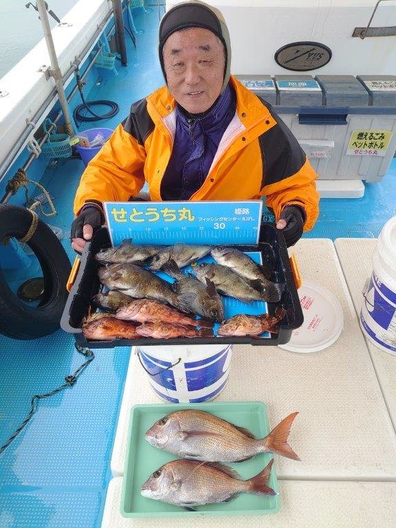 タイ(マダイ)・メバル