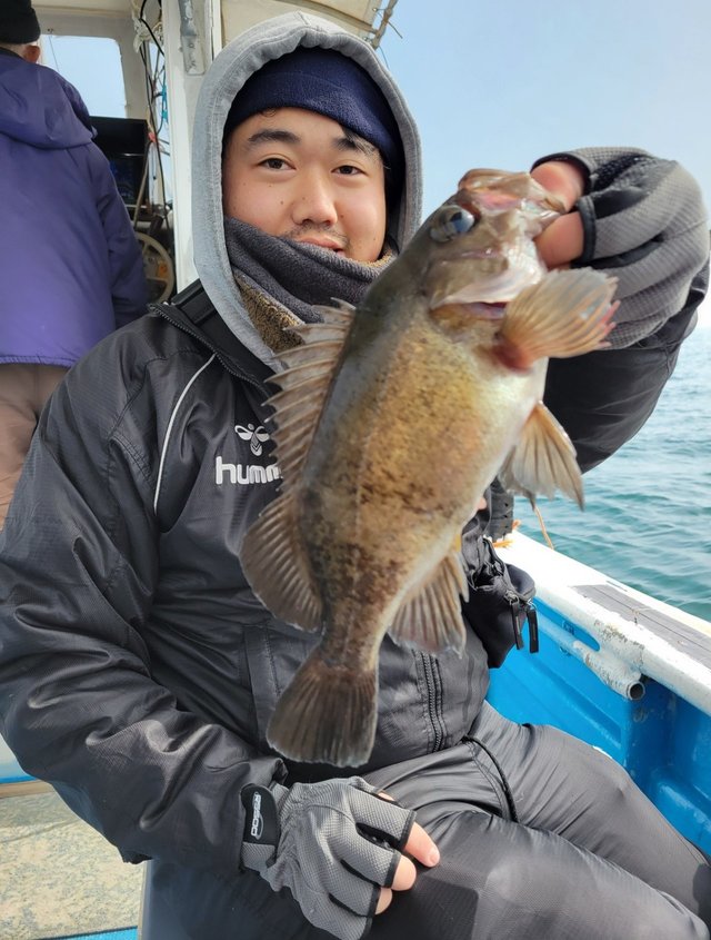 メバル