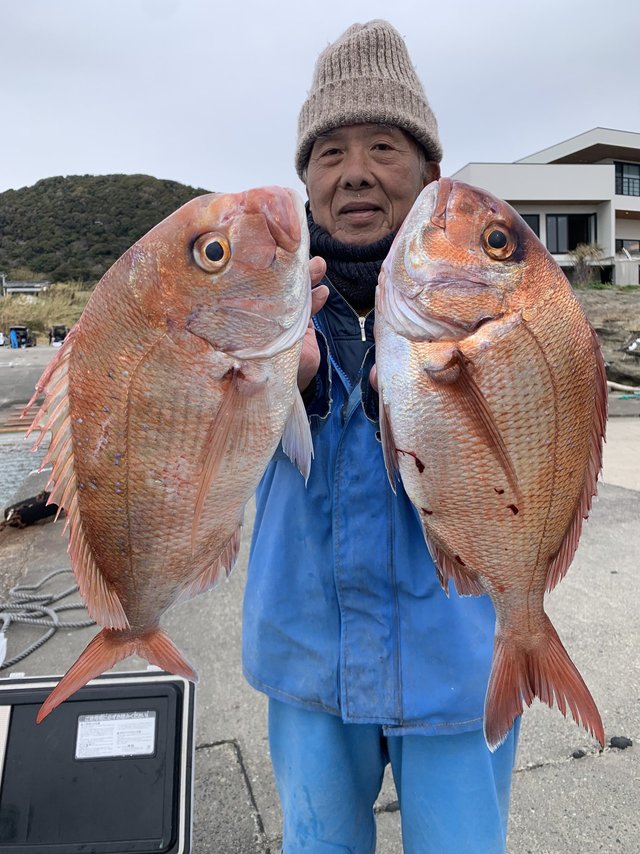 マダイ