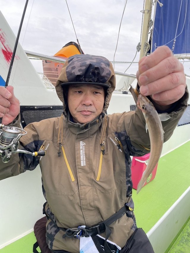 シロギス