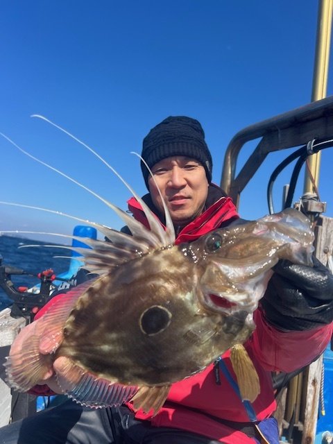 マトウダイ