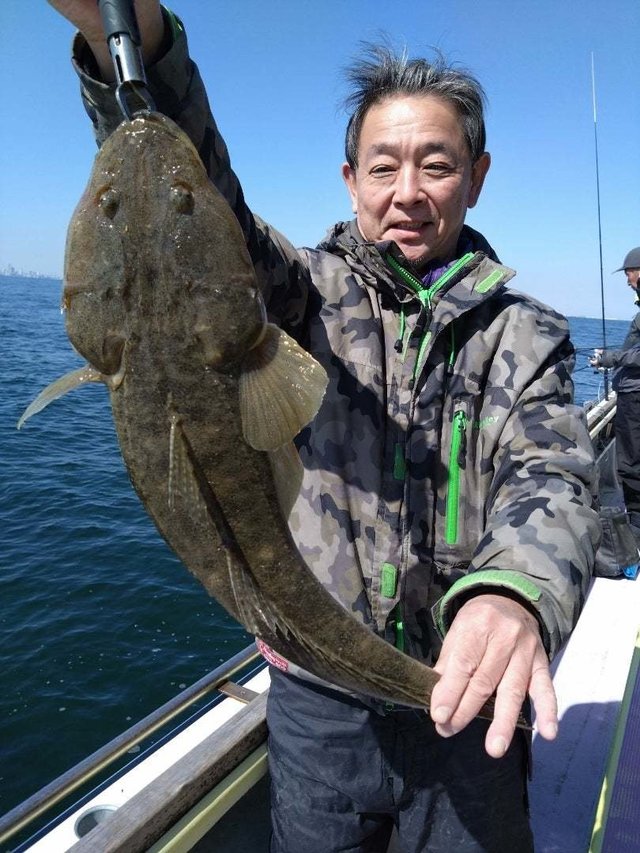マゴチ