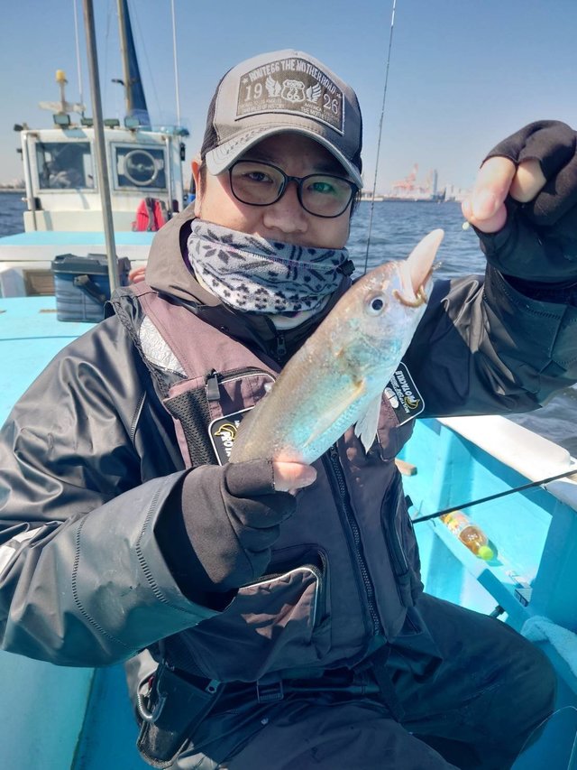 イシモチ(シログチ)