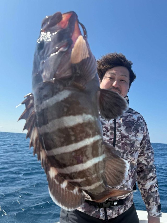 マハタ