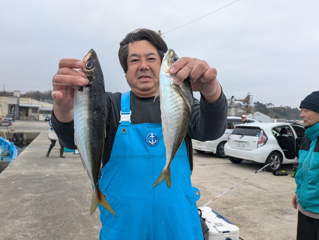 アジ(マアジ)