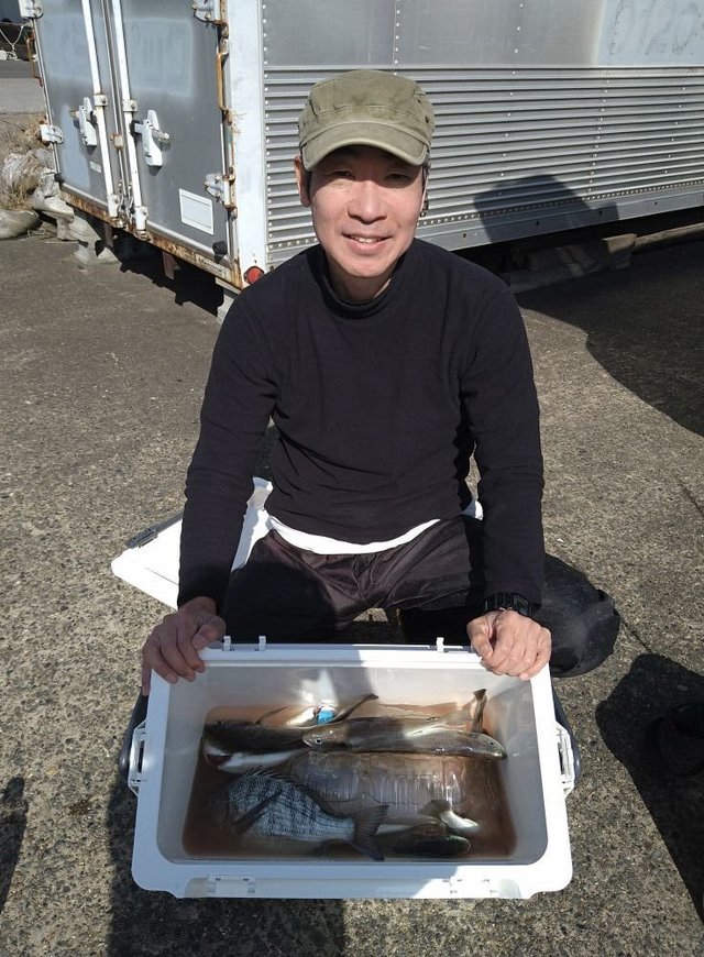 イシモチ(シログチ)