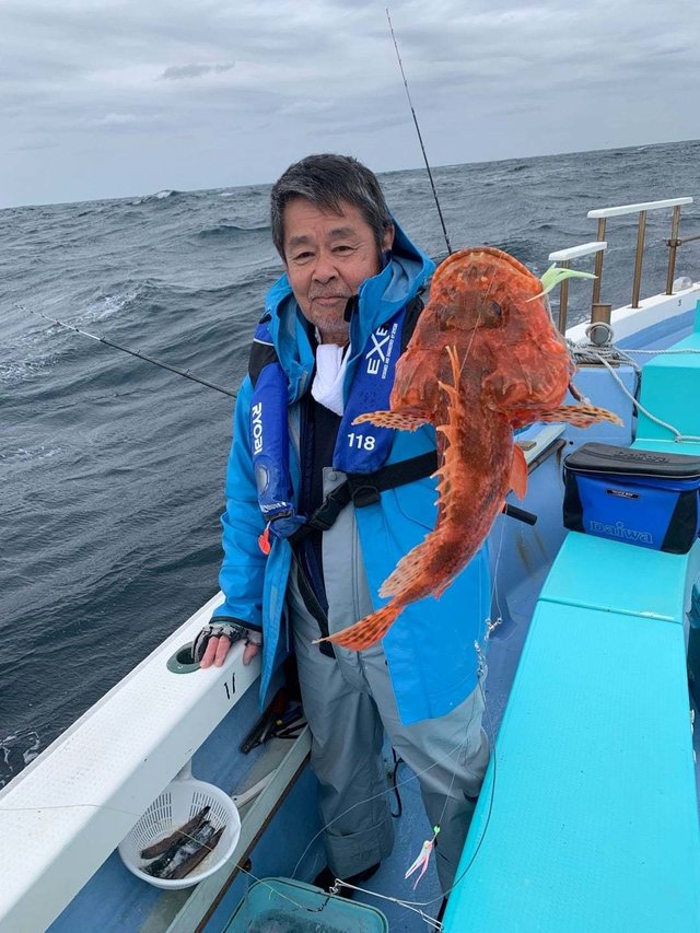 オニカサゴ