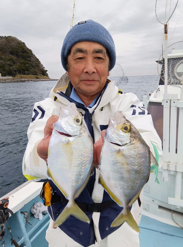 カイワリ