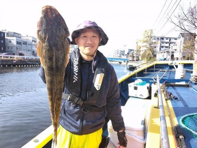 マゴチ