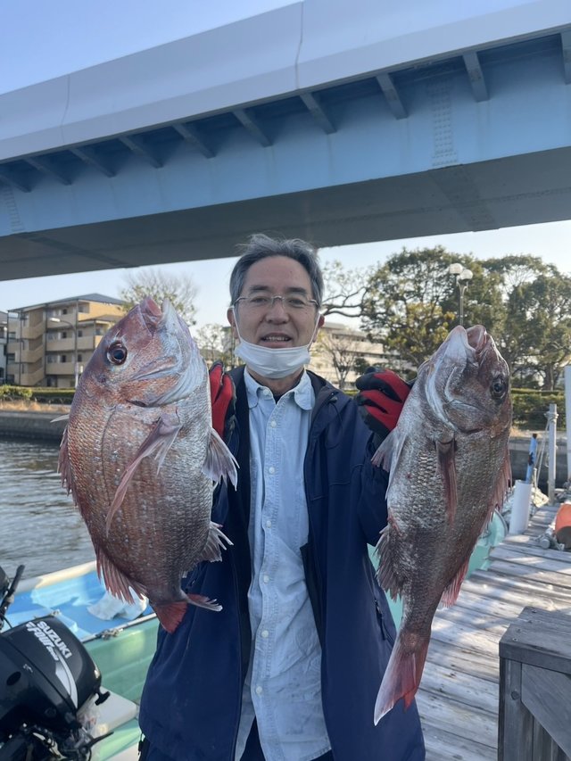 マダイ