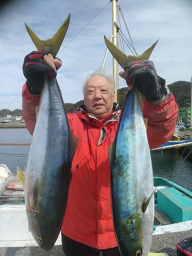 ワラサ(ブリ)