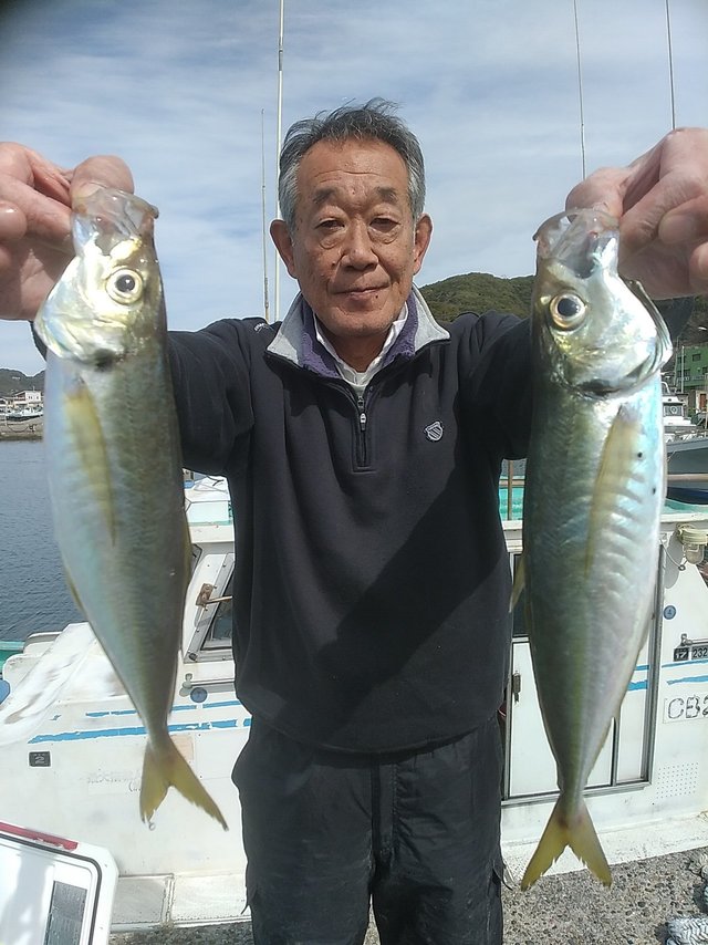 アジ(マアジ)