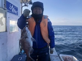 マダイ