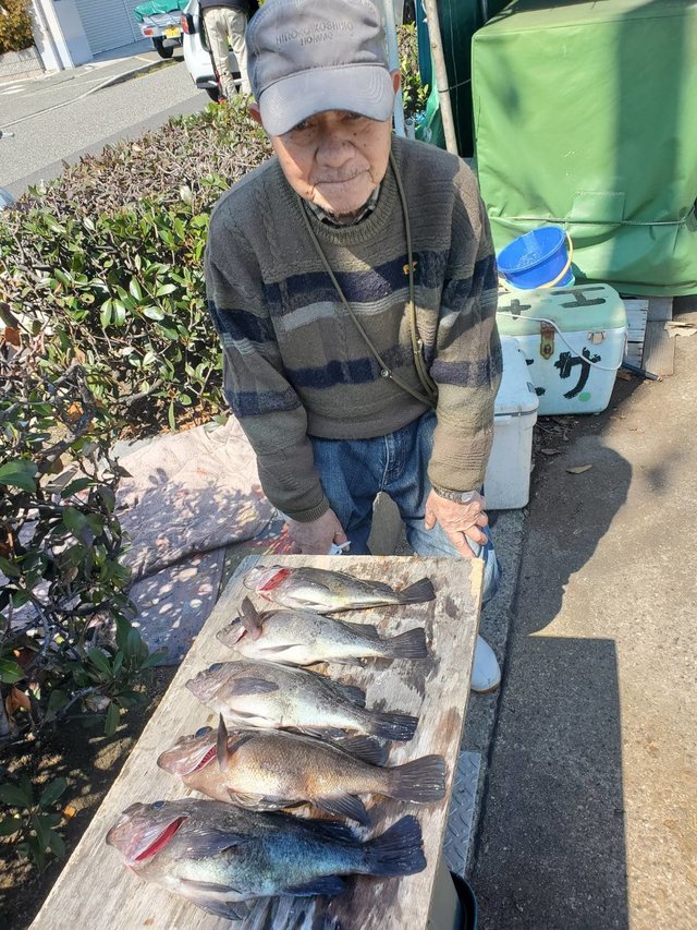 メバル