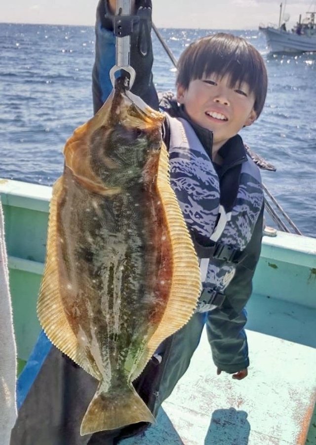 ヒラメ