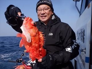 オニカサゴ
