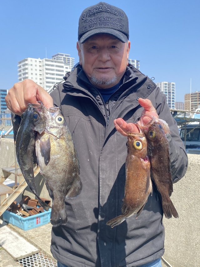 メバル