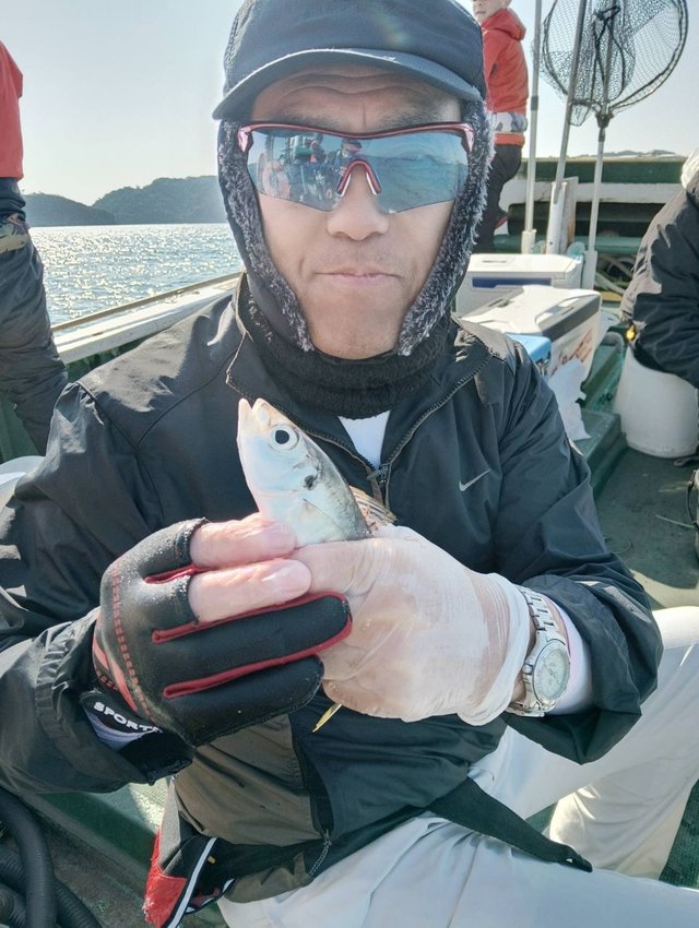 アジ(マアジ)