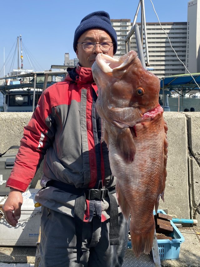 コブダイ