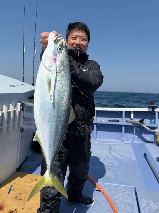 ヒラマサ
