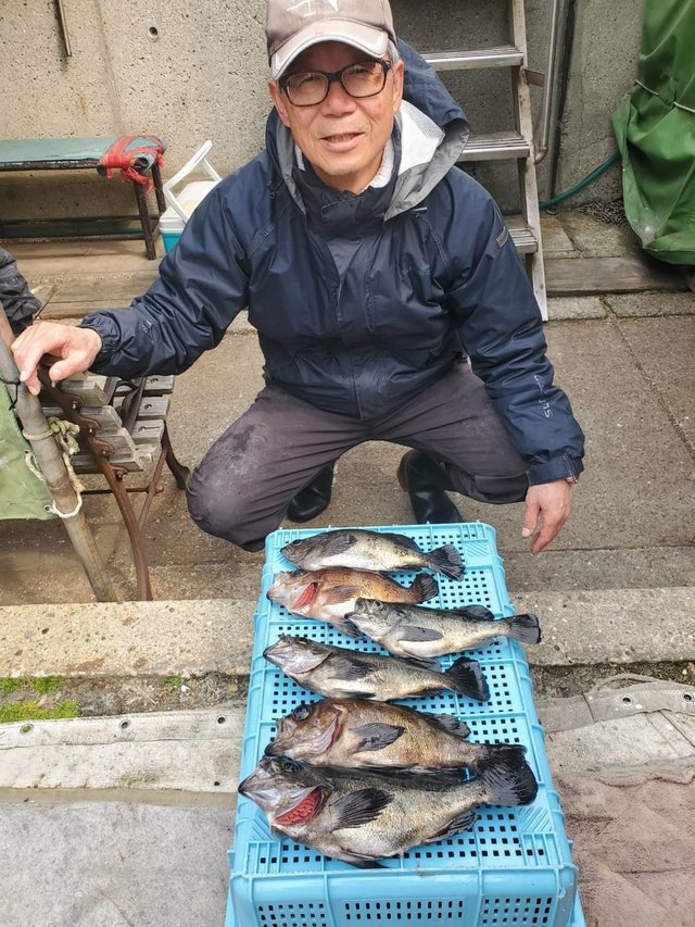 メバル