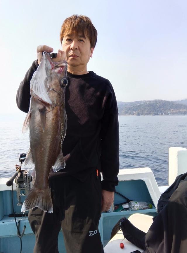 アラ