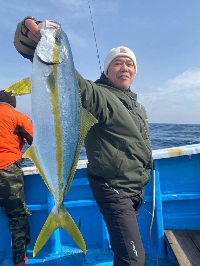 ヒラマサ