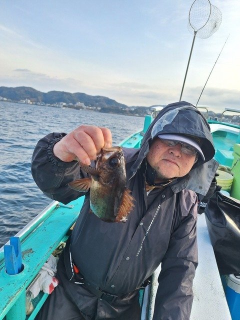 メバル