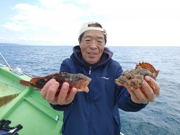 カサゴ