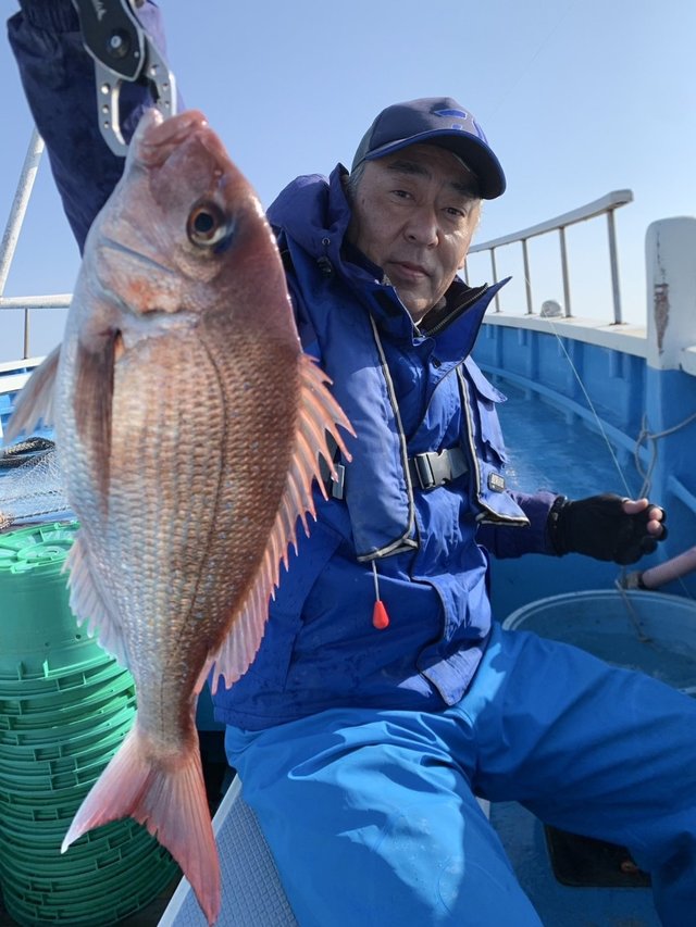 マダイ