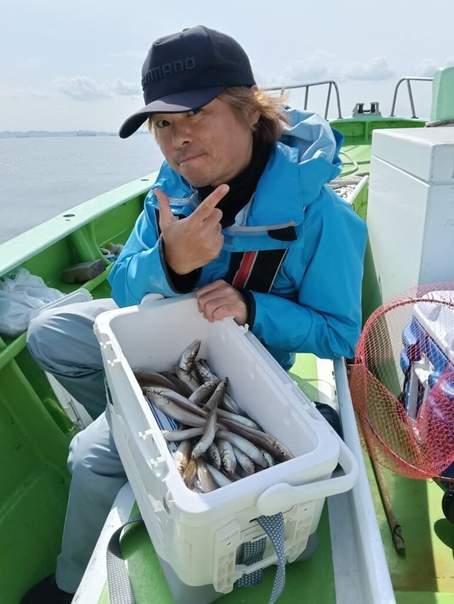 シロギス
