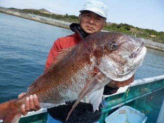 マダイ