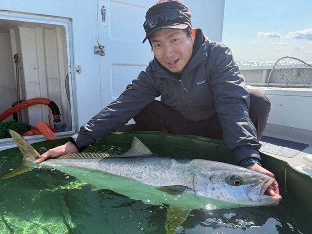 ヒラマサ