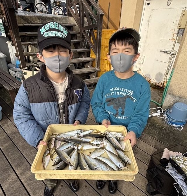 アジ(マアジ)