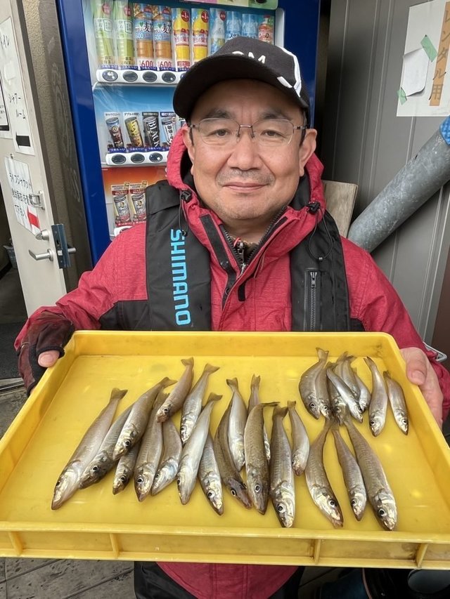 シロギス
