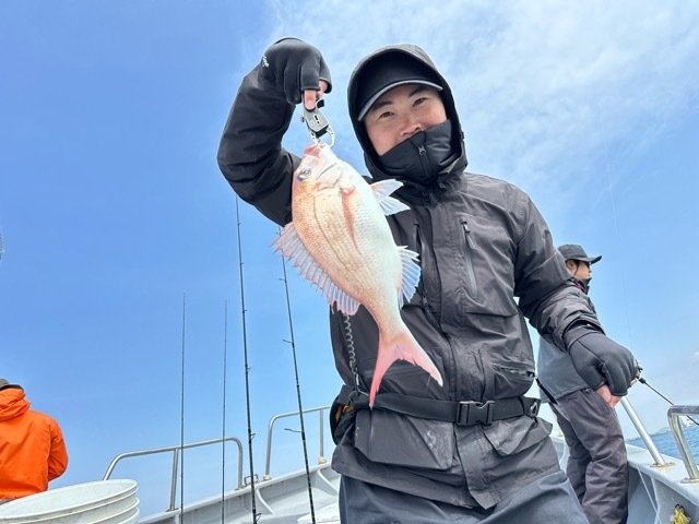 マダイ