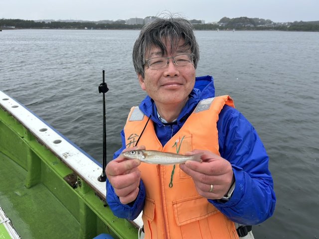 シロギス