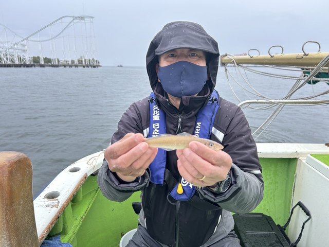 シロギス