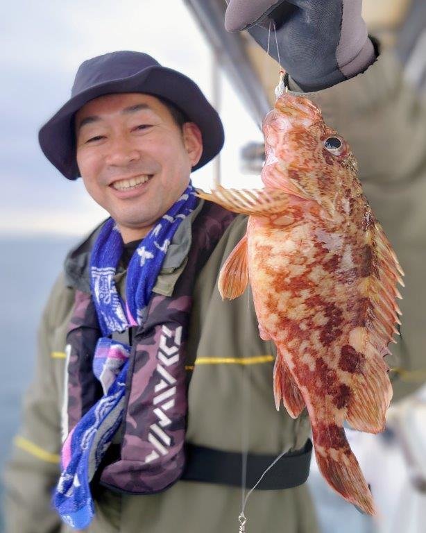 メバル