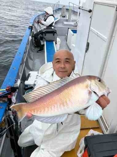 シロアマダイ