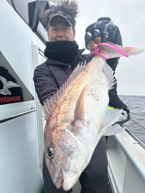マダイ