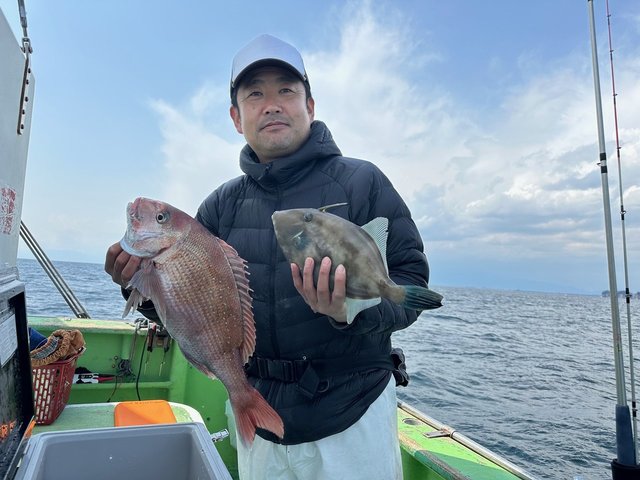 マダイ