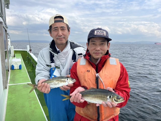 アジ(マアジ)