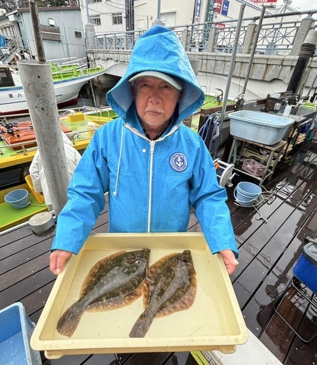 マコガレイ
