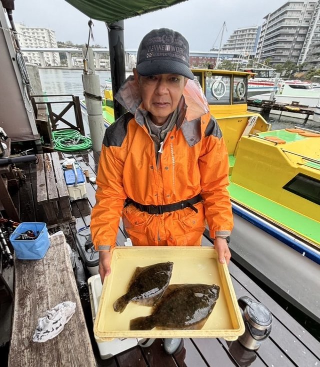 マコガレイ