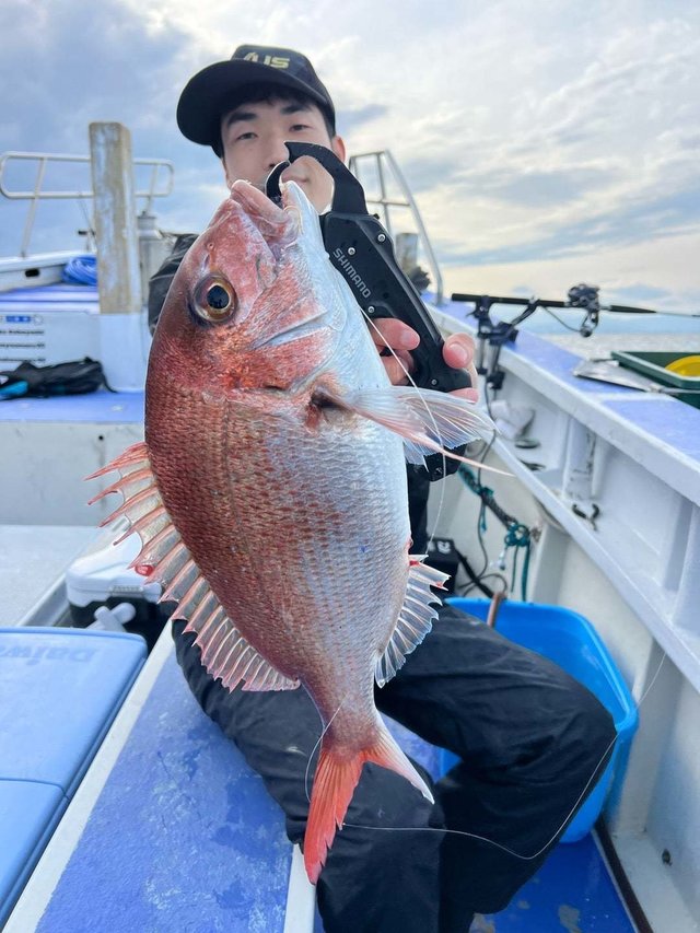 マダイ