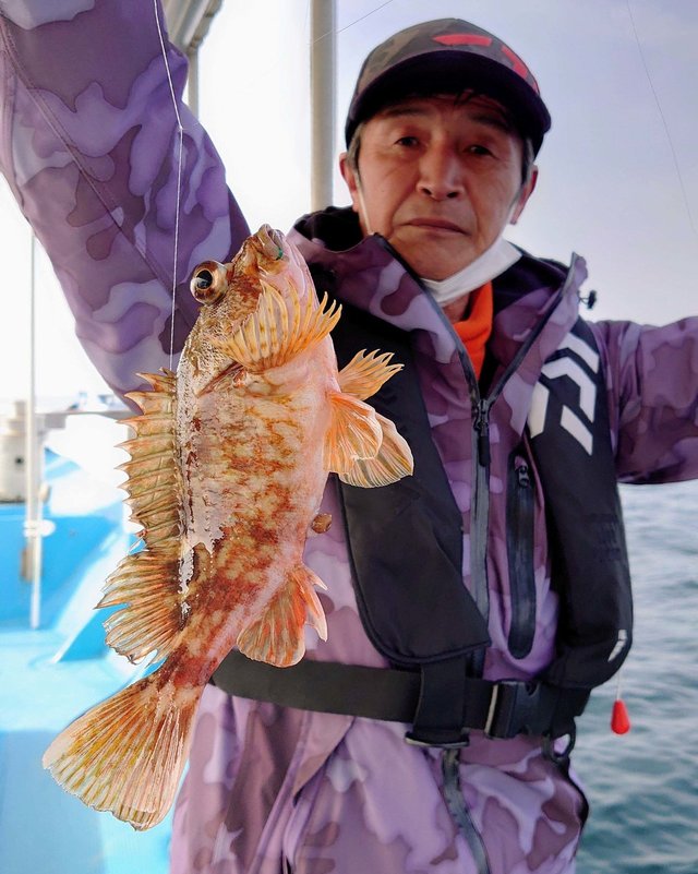 メバル