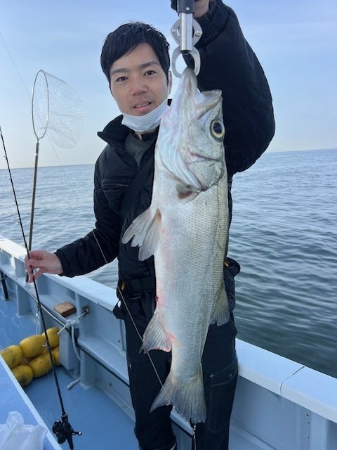 ヒラスズキ